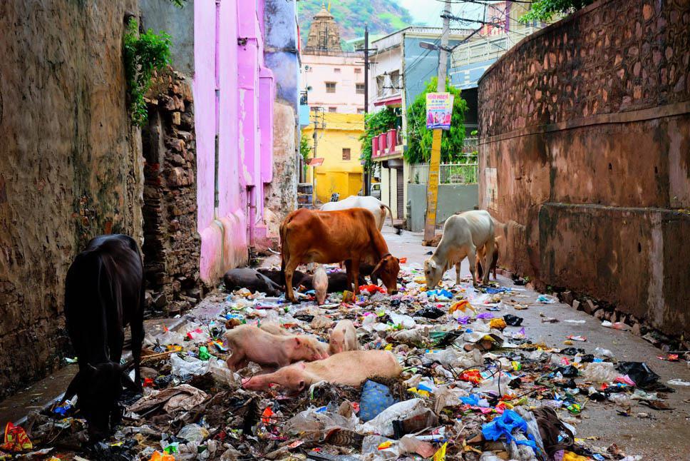Photo title : A table. Place : Bundi, Rajasthan, India
