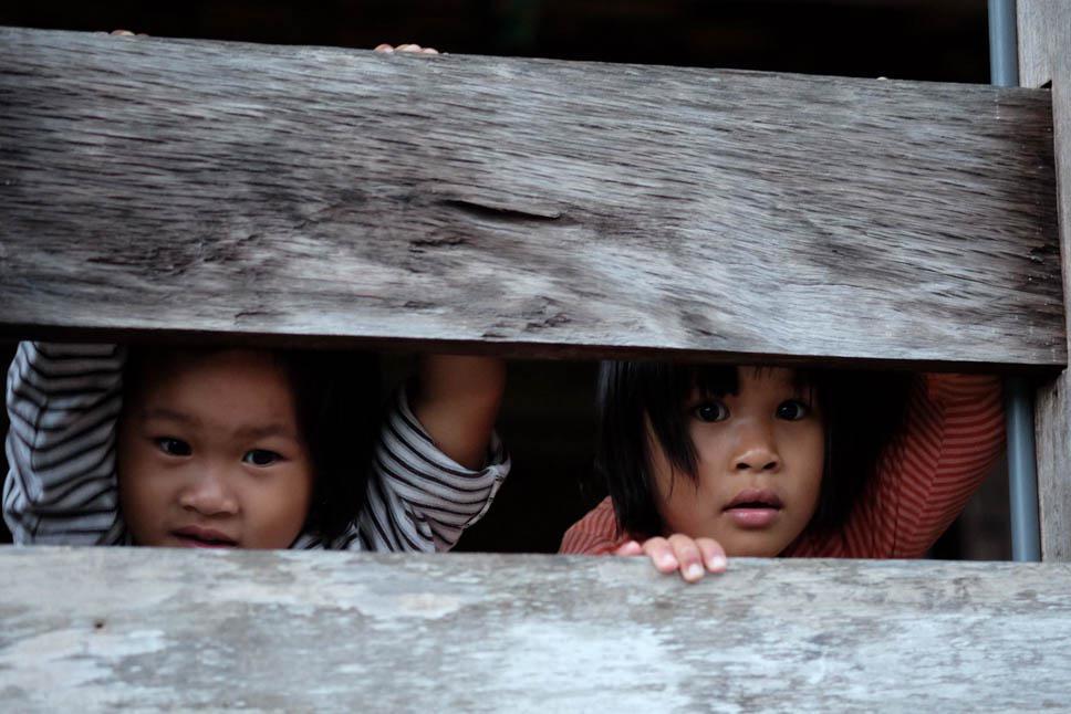Photo title : Curiosity. Place : Sulawesi, Indonesia